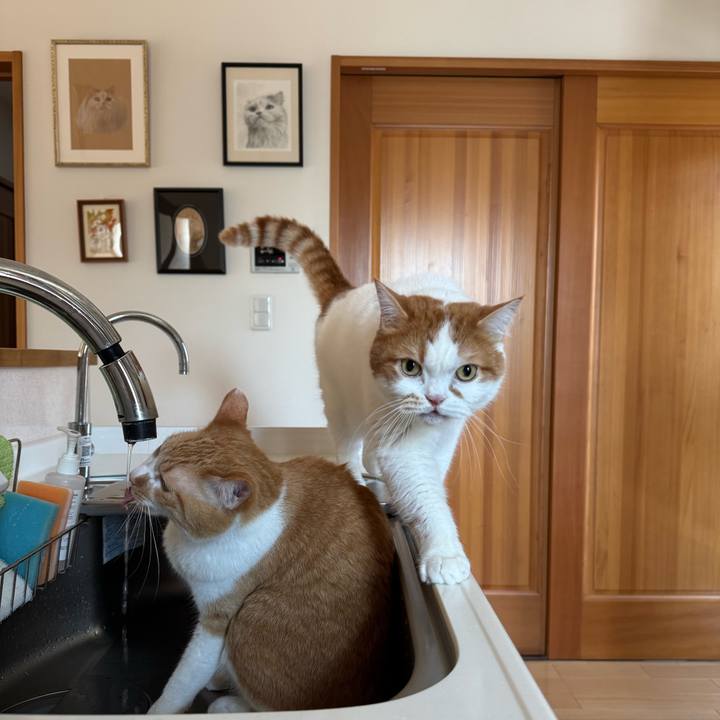 C59baba6 17af 49e6 bb99 25a5d63db3e7 1776305610992