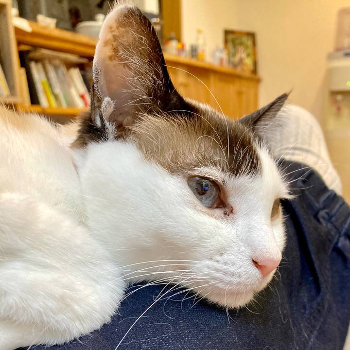 C59bc5b7 34d4 4815 8736 1986be773a39 1644670286569