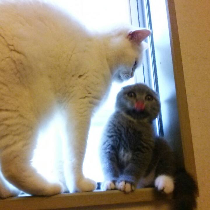 C59bda17 3fb7 4647 8b81 6909b986c0e6 1531173885663