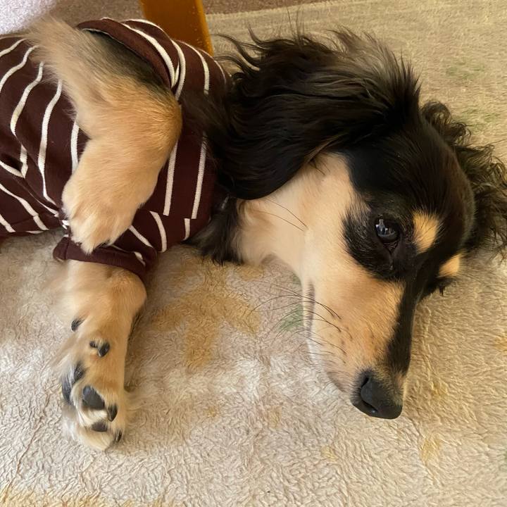 C59bf41d 739f 47ca 85e0 78ec6aa2feb8 1680747923927