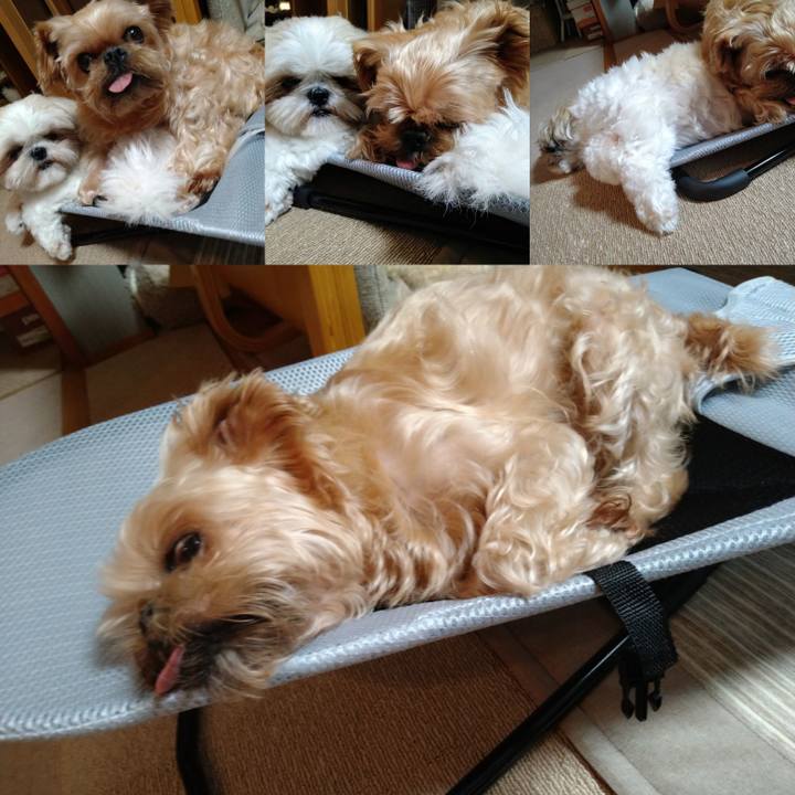 C59c4714 f977 409e a38c 08c32477d41c 1629090790084