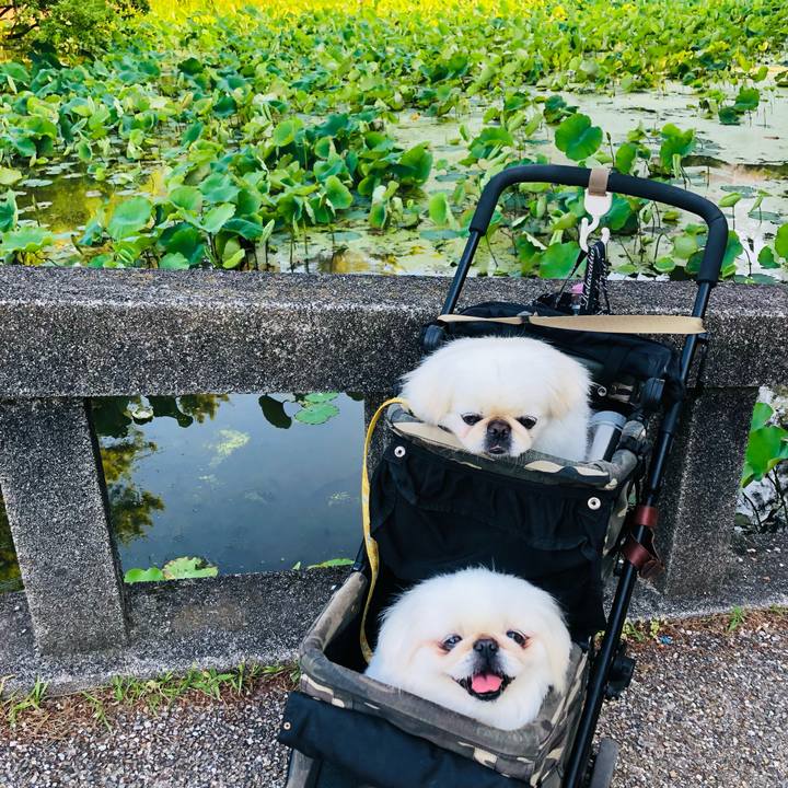 C59c72c0 c160 4428 abb4 6f28282fcfc9 1623453735780