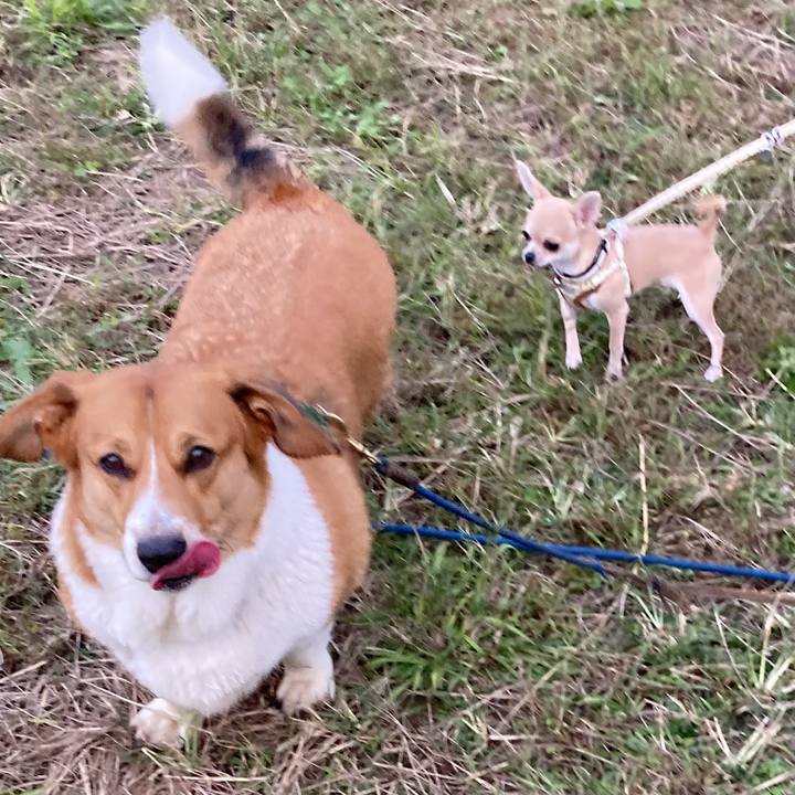 C59c83ac b84c 49ac 8dca f87dba240f7a 1697726219315