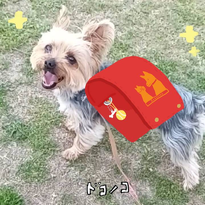 C59c99b9 c966 4ac5 a670 c391e3b62b41 1744410318576