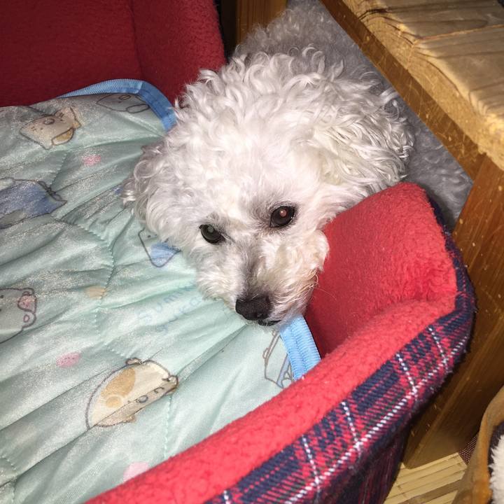 C59cbb73 d181 420b bb1a c5242b1dfef7 1532266539334