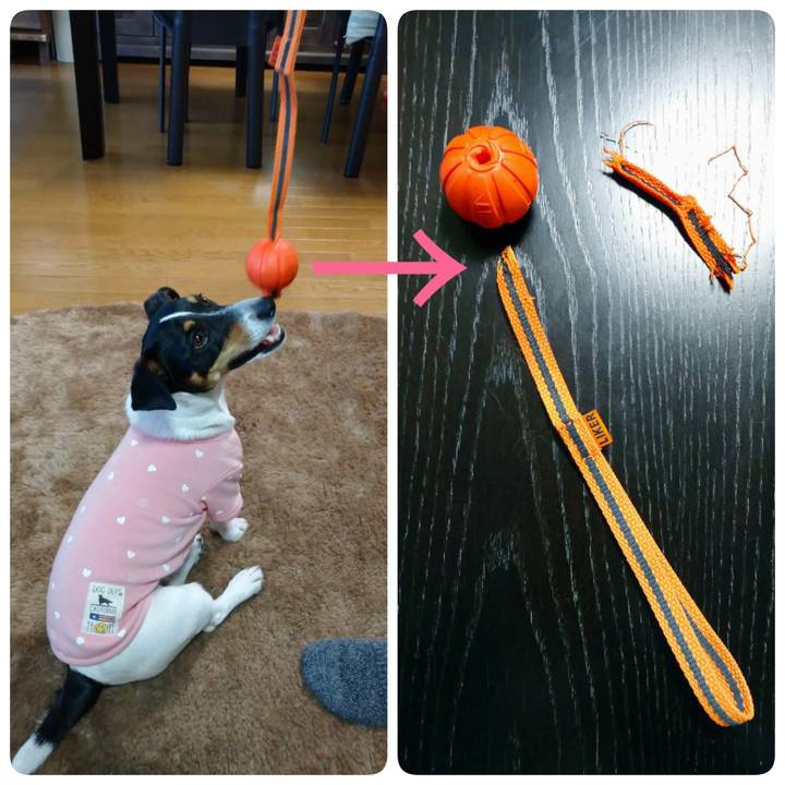 C59cc63f 21c6 4465 aee2 b20b3719f76f 1582466149151