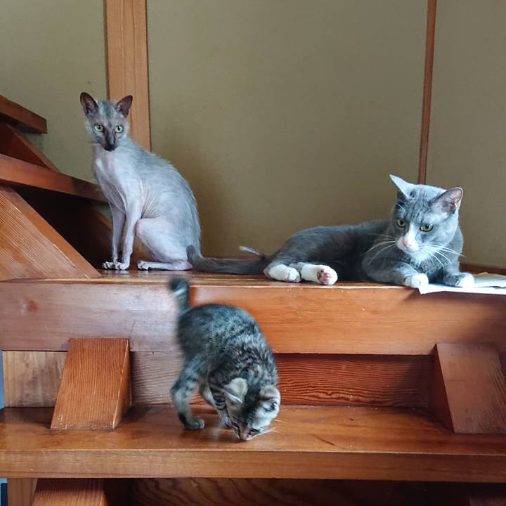 C59cd337 a769 4c58 af42 53aef5d0d571 1559635477875