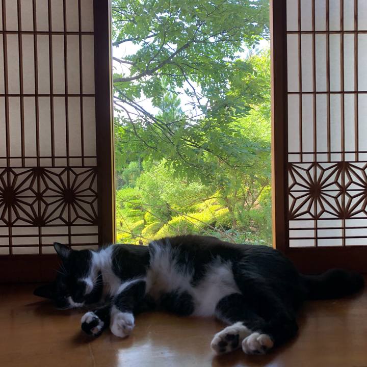 C59d0963 aad3 475f a476 f2c18115fc25 1530424421852