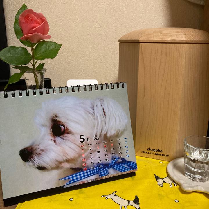 C59d8036 53bf 4f0e b29f 76873e6ca89c 1652095472932