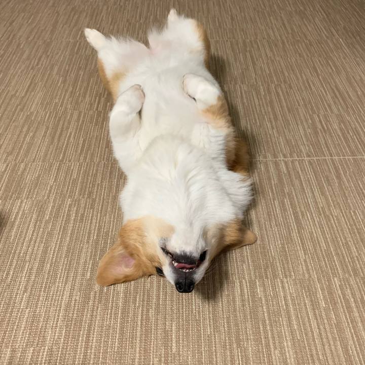 C59dd135 be68 4bea a15b 91738863ea24 1579327306639