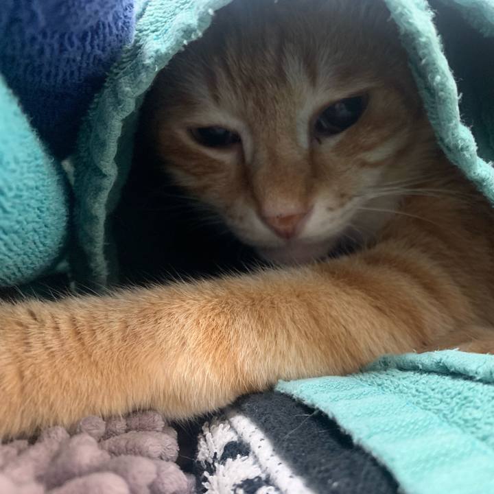 C59de537 64e1 4cb1 a59b 0023c14fca1e 1588715849378