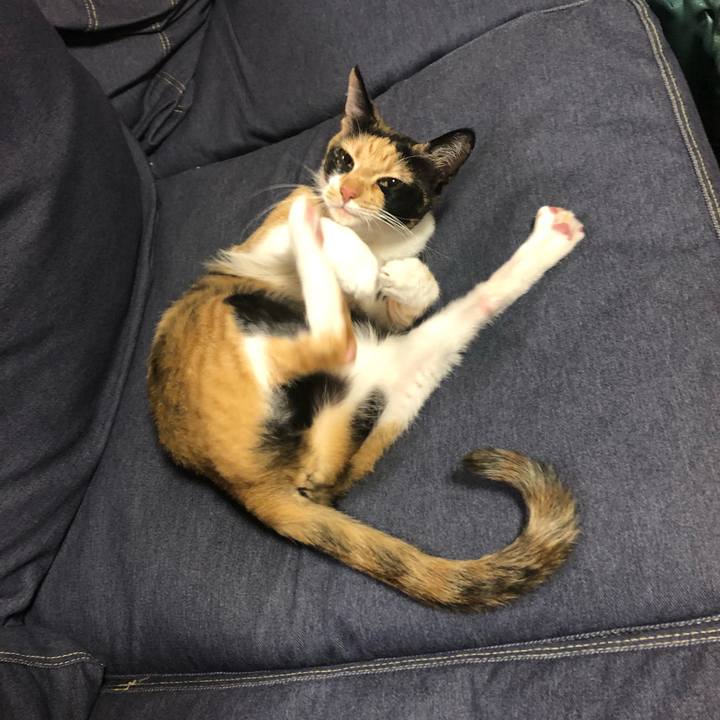 C59df156 f9b1 4ced 9e72 5a6c7fcc2baf 1545979561276