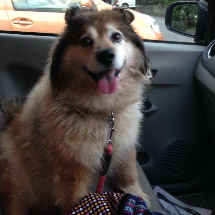 C59dfcfe a18b 48f5 9c89 608890d0df37 1608111143111