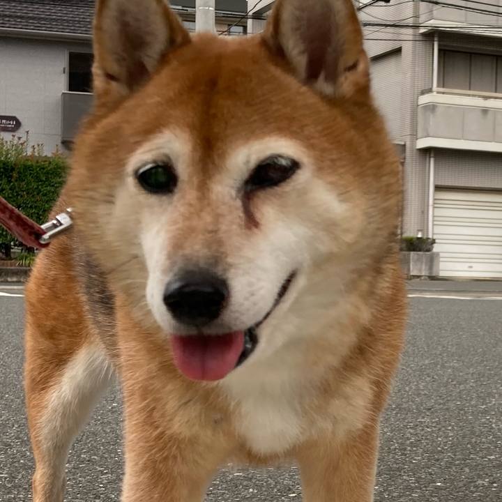 C59dff87 2d57 49a5 8b5f e1f65fd66ac0 1662282668980