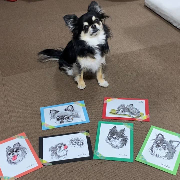 C59e456a db2b 4adc b12e 0f082fdf93e1 1646568294847