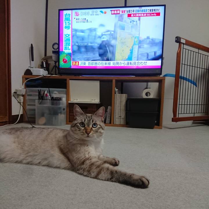 C59e4d48 1b37 4ff6 9490 2117c4d8a099 1567985707619