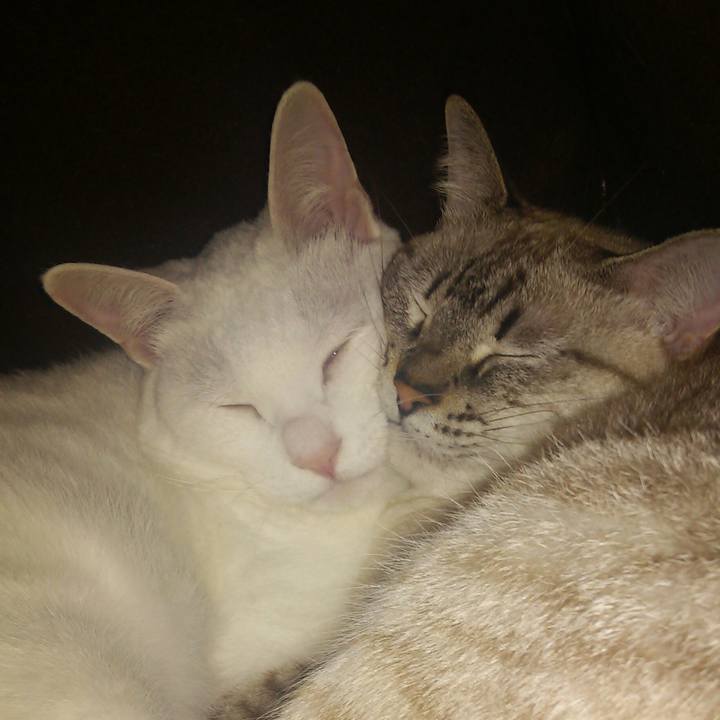 C59e6ee3 7910 4a24 bca4 6c406f178765 1540303540584