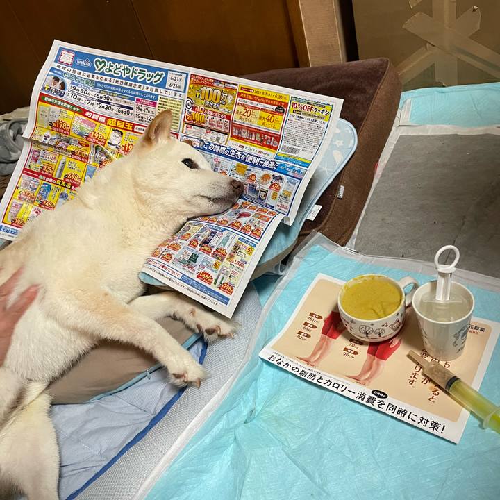 C59f20c3 a16f 4281 a541 6a189c69d7c6 1655814889022