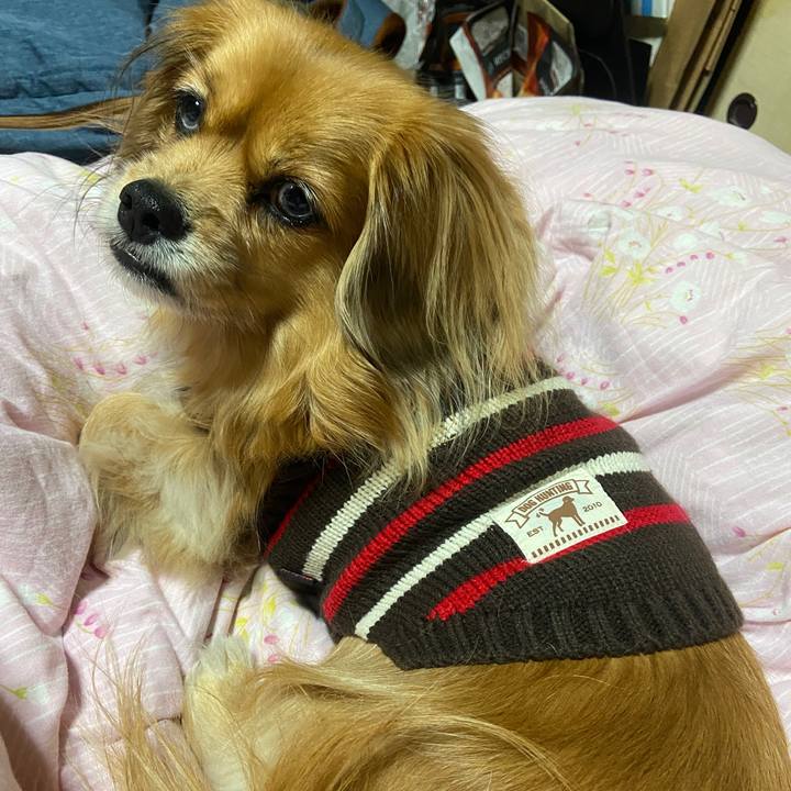 C59f6c3c d41b 45d9 817c 7fa2708add72 1672179221036