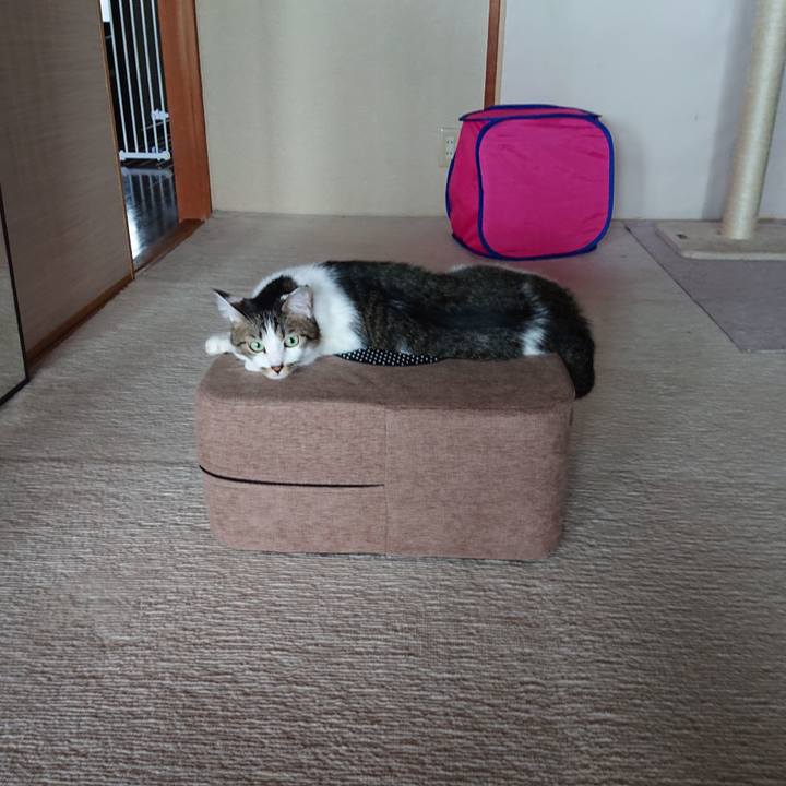 C59f7ac5 e882 4aa1 b178 902bb35a8168 1632554791777