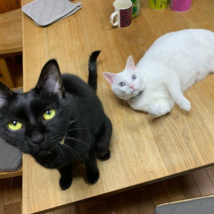 C59f8d1a 3aaf 4f3a ba85 ce1d741b1730 1554628188001