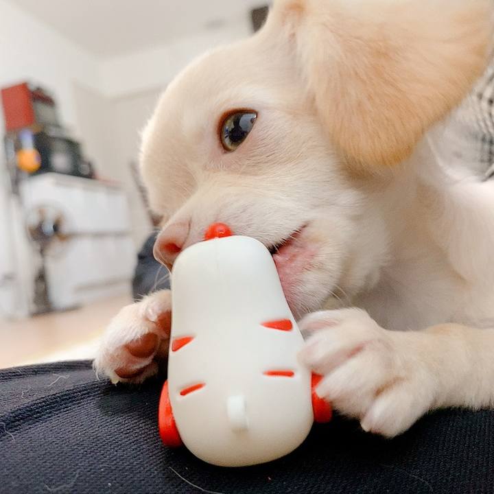 C59f93bf 1626 4749 b611 3dcee6f3b14f 1592542501813