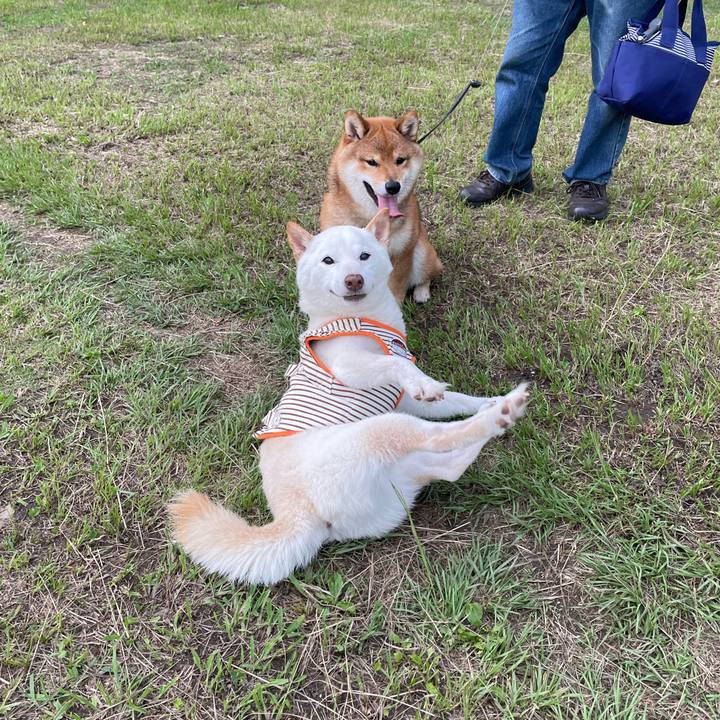 C59f99be 9ba7 47f2 bb05 f68d12cb1600 1655044652820