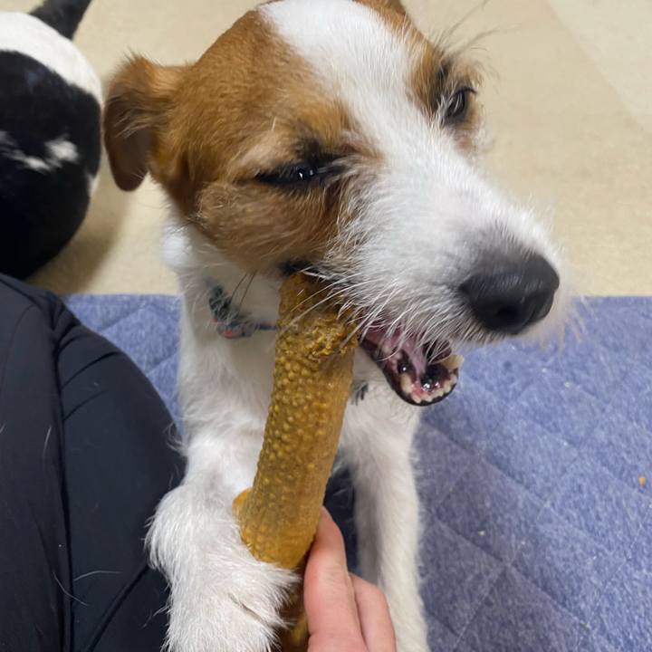 C59fb41f ca6e 48f8 853d ae3969d5e2f6 1758456382775