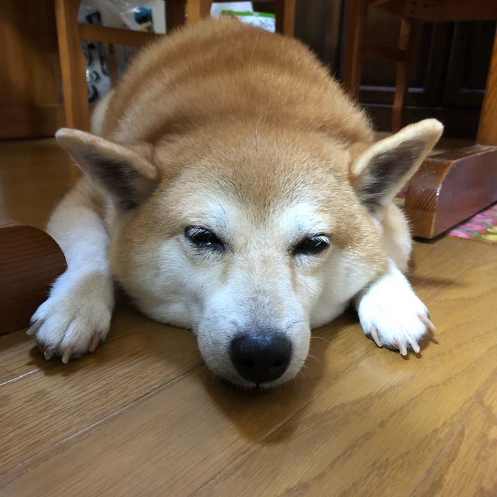 C59fcaac 41ac 452f a1f9 0fa305653517 1568509690809