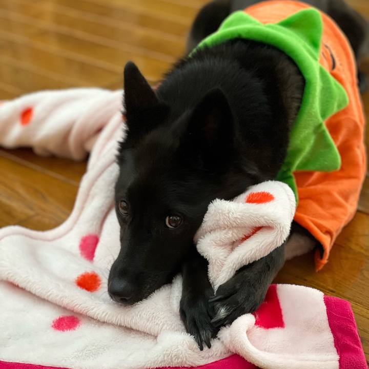 C59fdc7a b62b 43be be4d 8698b57393ea 1667175026241