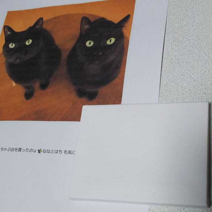 C59fde97 b90f 4867 b162 b5334be11087 1550302524547