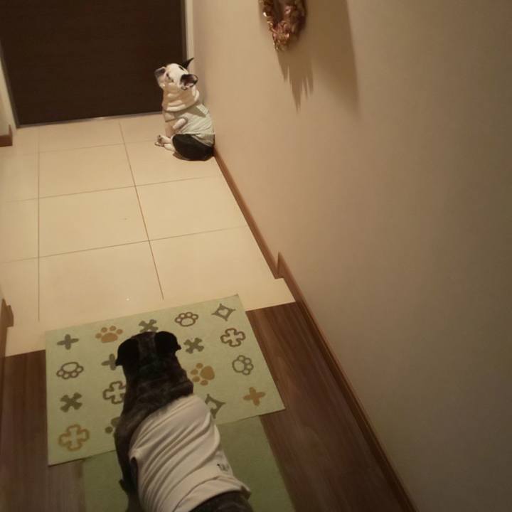 C5a005e1 51bb 488b bde4 ec36e6f503e5 1684739849916