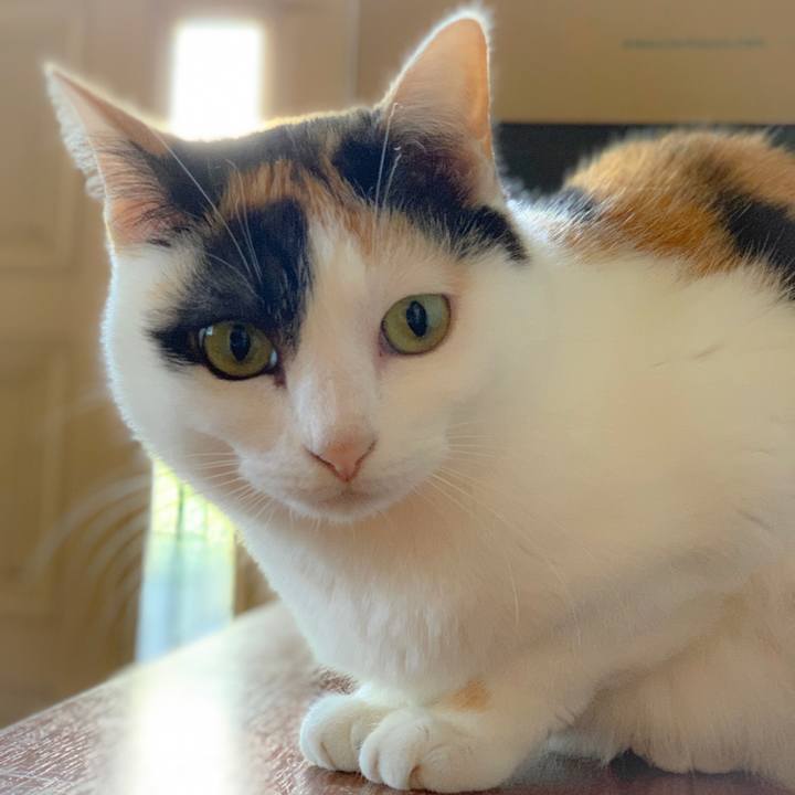 C5a02741 e2ad 42e6 a405 83229803340d 1559872645175