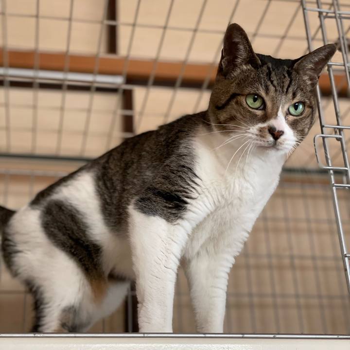 C5a03102 ca10 44de ac50 86c1b35aaf2a 1639964208246