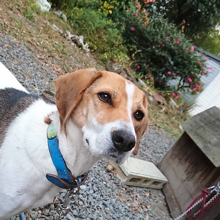 C5a052e3 faf6 44af b35a aa79a50e7063 1574754023232