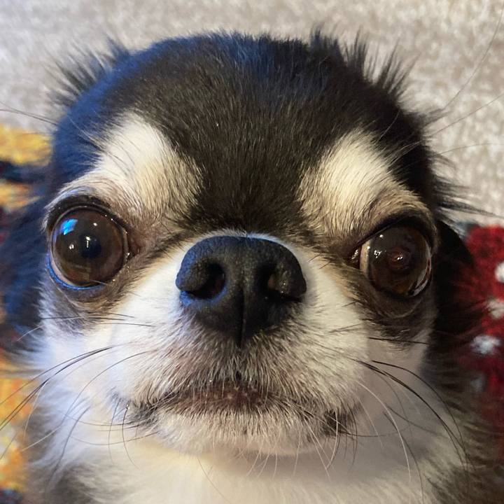 C5a05cf9 3c04 4710 ac98 8f24f3329136 1715992827340