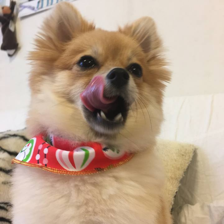 C5a0660e 0a36 4f00 83bd b5cf2e1a4dbc 1514689139996