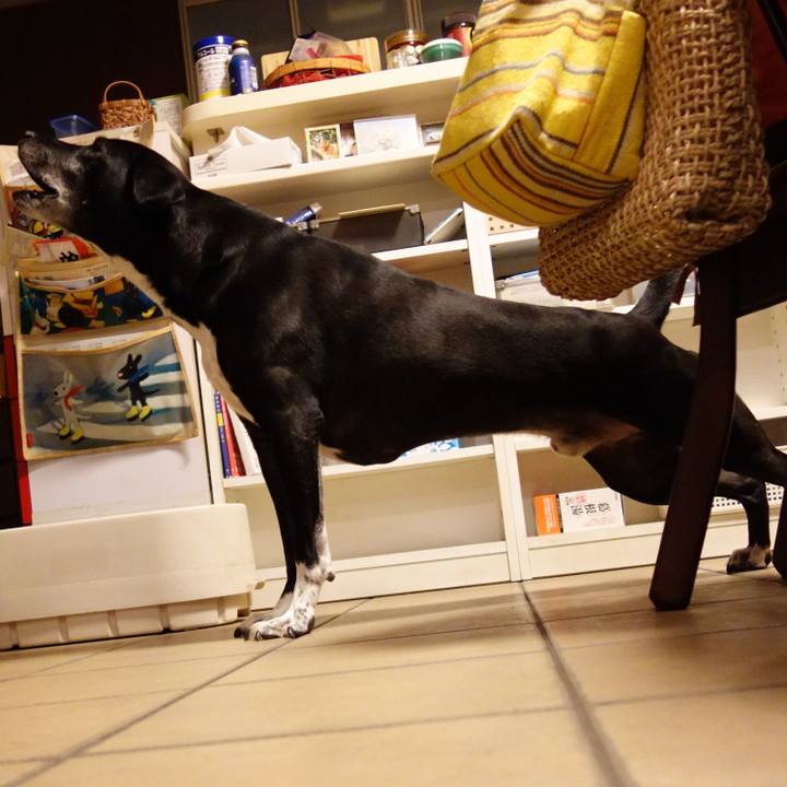 C5a06869 6d2d 43e4 bfd9 5b76273788ef 1727867111278