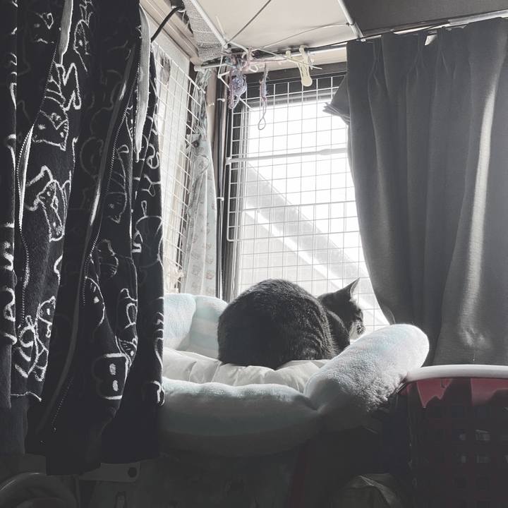 C5a088ec 3620 49fa af37 ab5913c7a9ba 1583548947408