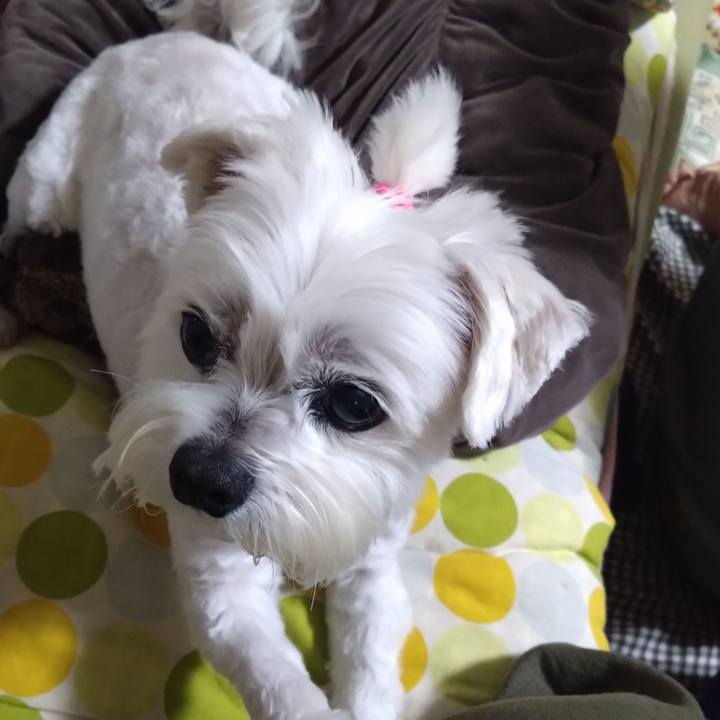 C5a095c3 a89a 44bb 93ef 1cf2168bf068 1714216936492