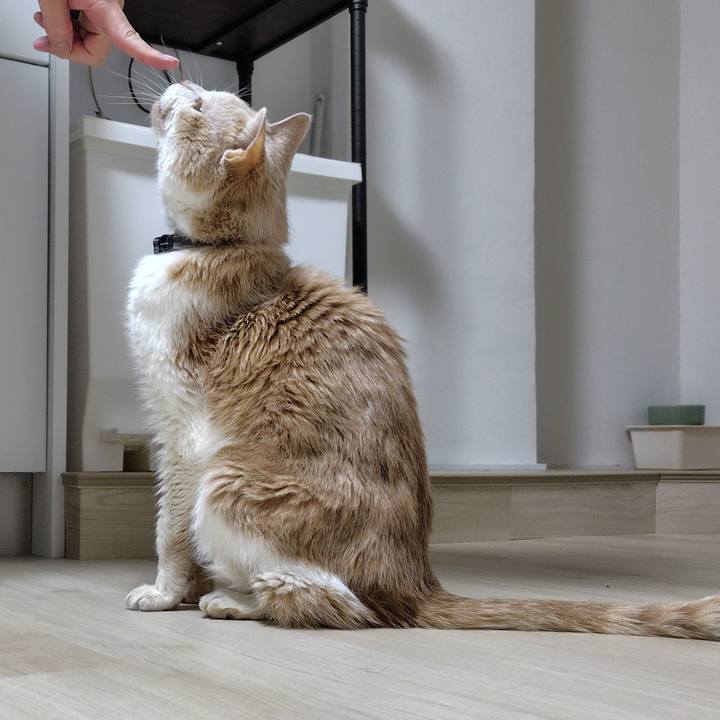 C5a0b697 61d7 4c25 a3eb 7601b43e4cca 1768310387413