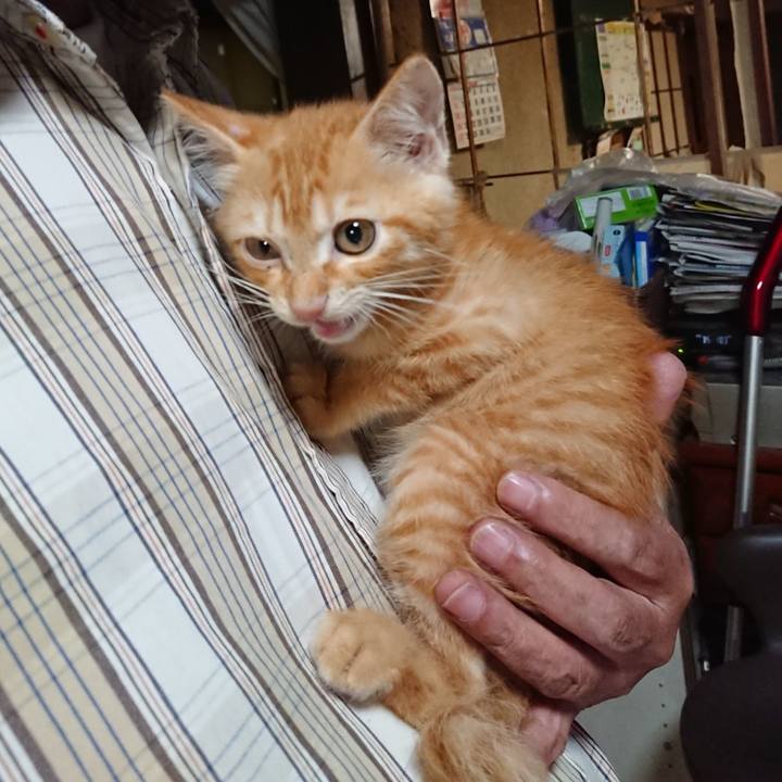 C5a0ea41 d067 4785 8403 67c3d4a2214e 1628941767518