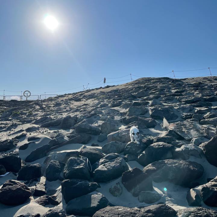 C5a104d3 27a5 4376 9222 4a8c4db9d7a3 1618958538733