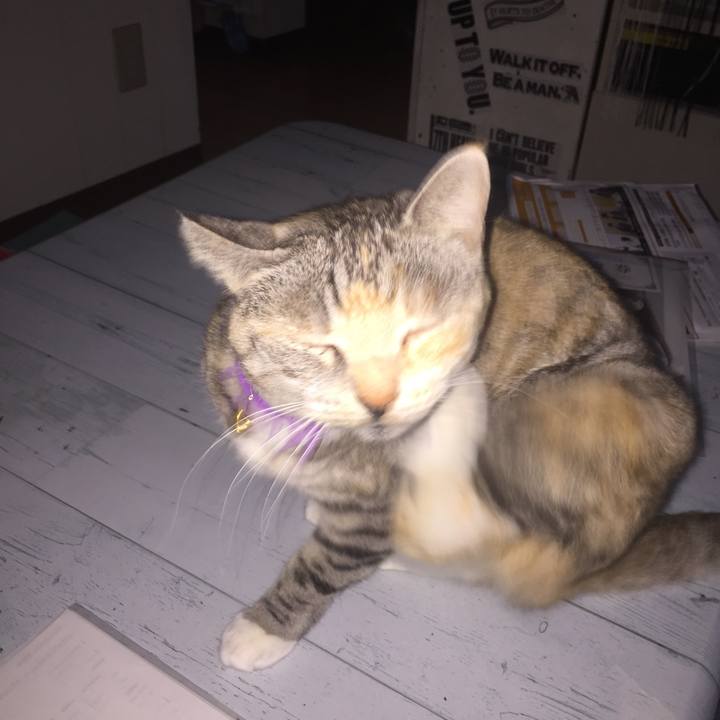 C5a12187 3f72 482f a35f 26a70102bbed 1547592051544