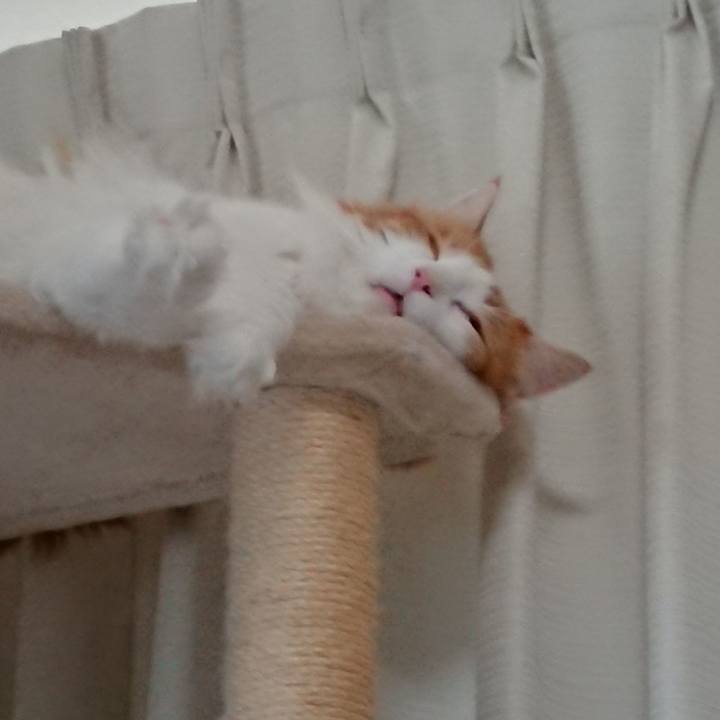 C5a12375 63f0 4e22 830c 97831d82f06b 1530499070053