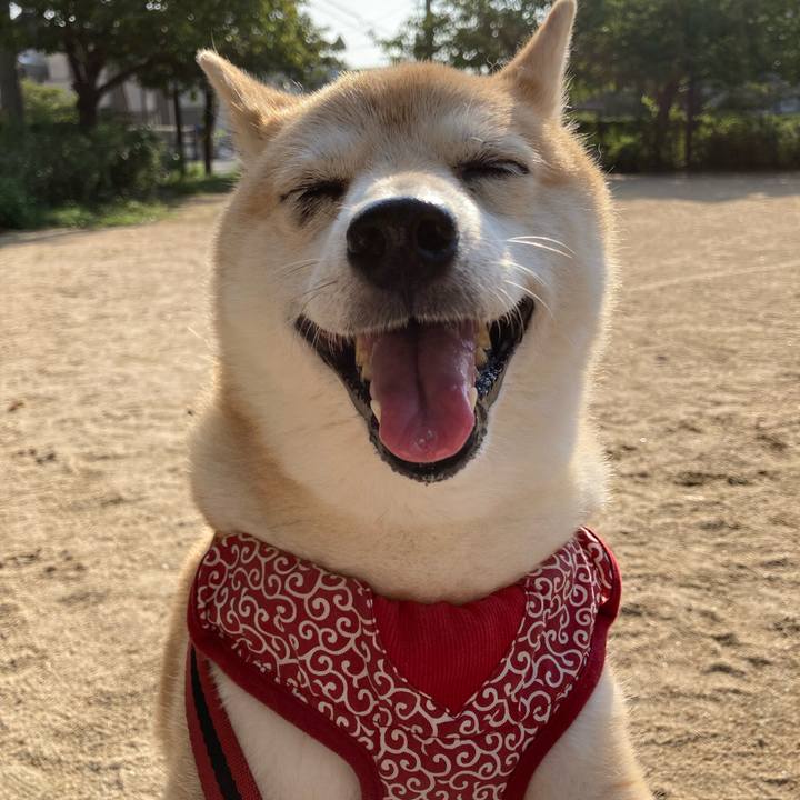 C5a12ddd dbf6 41d9 8b3a 8ab8fb37db76 1632487393979