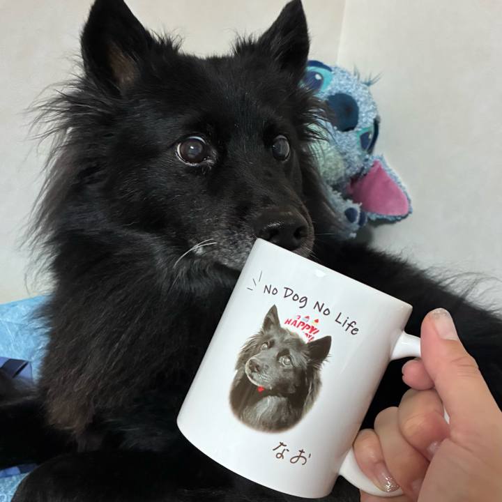 C5a139cc 01f8 44df 82da b8fb356ae1f3 1757030557956