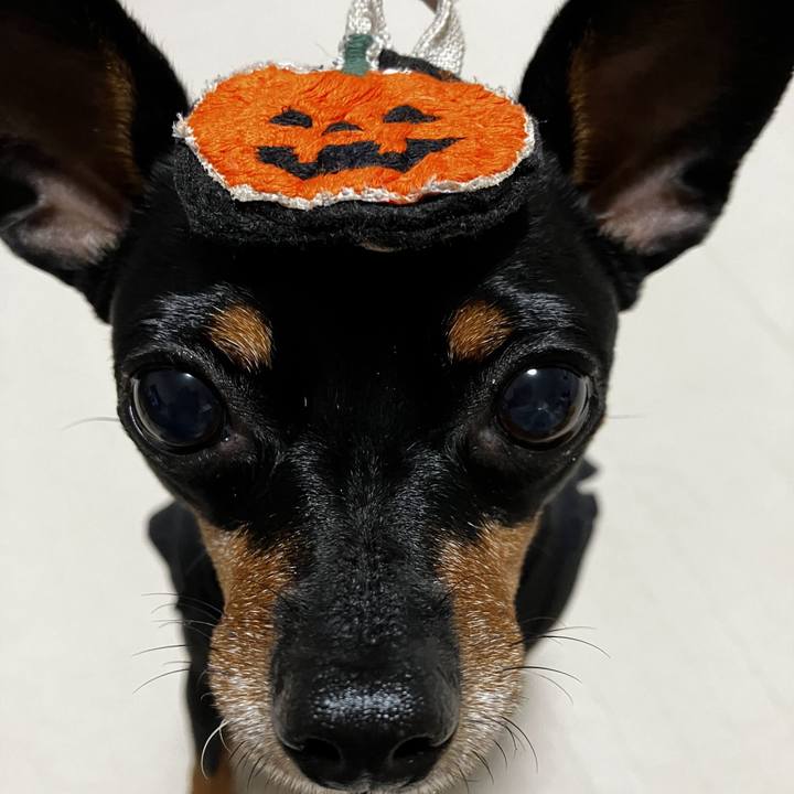 C5a1461c db3b 4485 898e 08d6a8c290b4 1698842223967