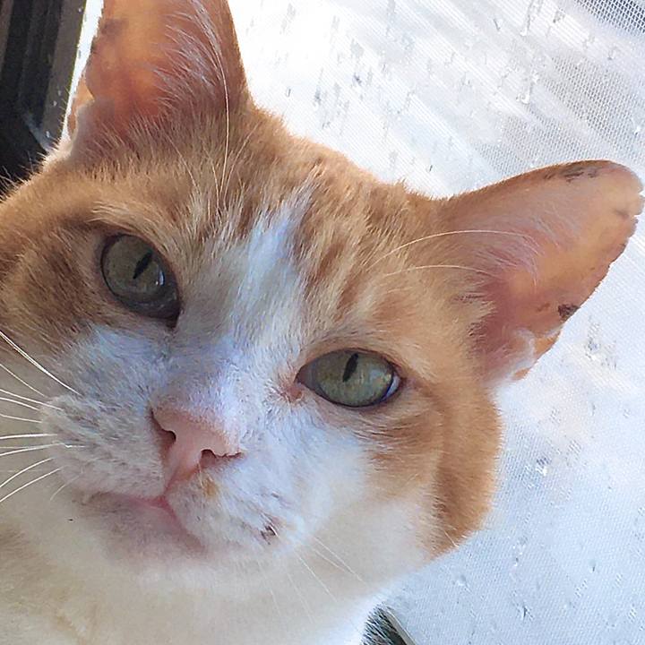 C5a15b5b 3771 456f a202 ad1257f6e96b 1617000934580