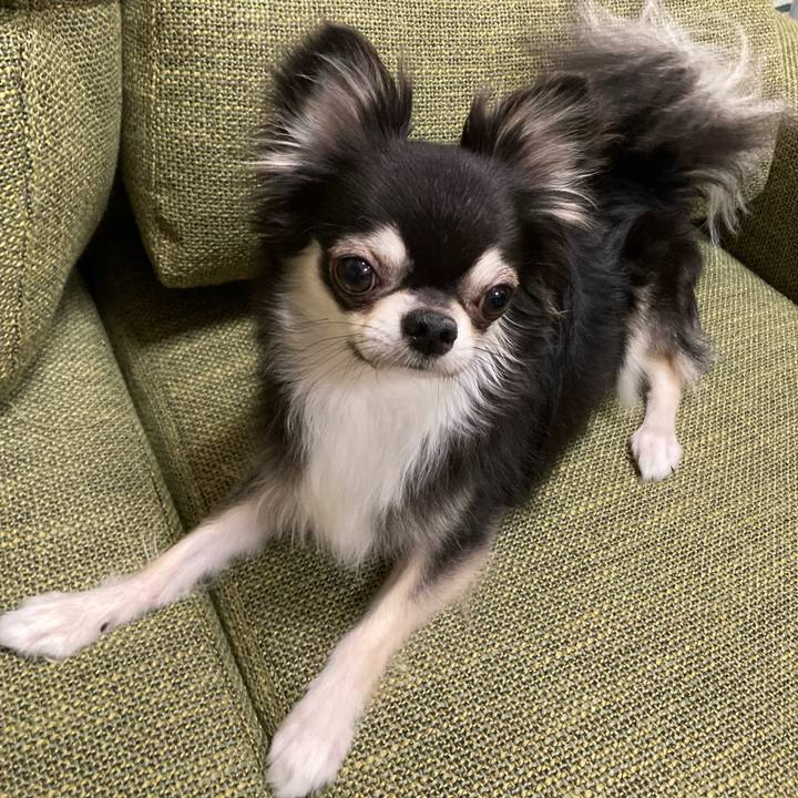 C5a16799 0dc1 4d64 8c41 42926eb95d50 1661090824819